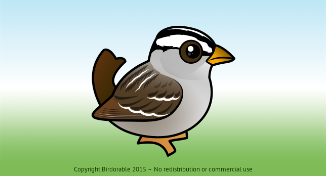 Birdorable White-crowned Sparrow 