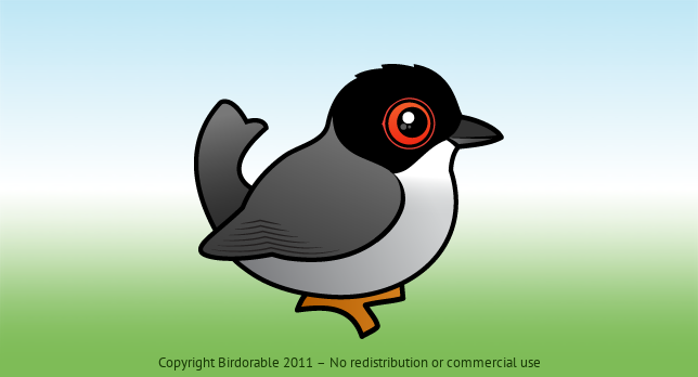 Birdorable Sardinian Warbler 