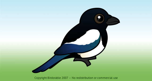 Birdorable Black-billed Magpie 