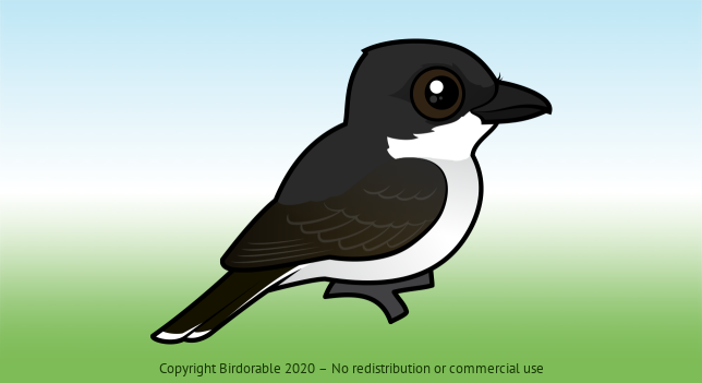Birdorable Eastern Kingbird 