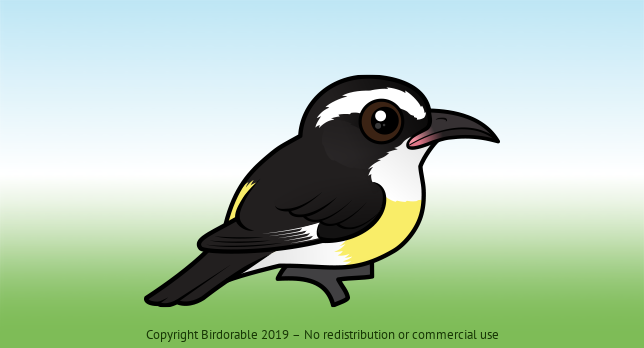 Birdorable Bananaquit 