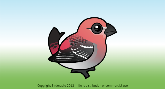 Birdorable Pine Grosbeak 