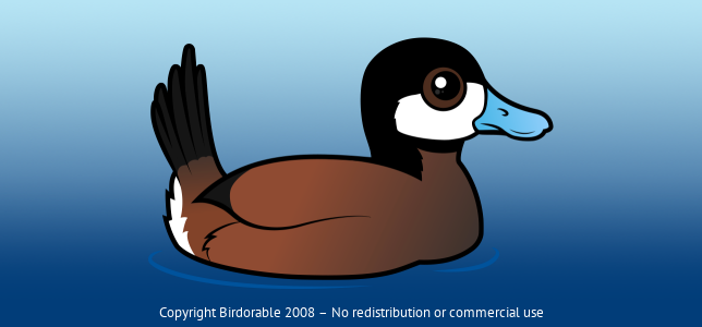 Birdorable Ruddy Duck 