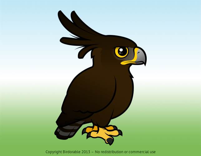 Birdorable Long-crested Eagle 