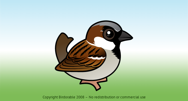 Birdorable House Sparrow 