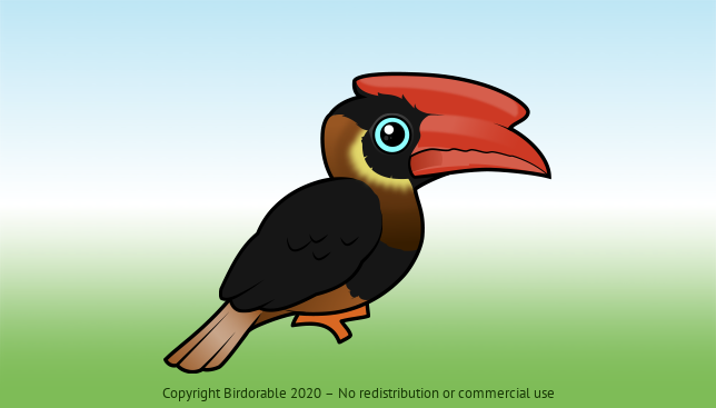 Birdorable Rufous Hornbill 