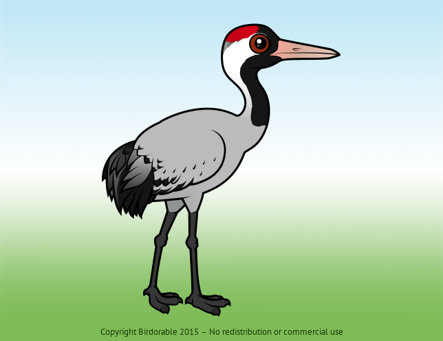 Birdorable Common Crane 