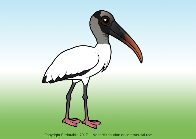 Birdorable Wood Stork 
