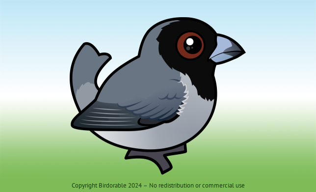 Birdorable Black-faced Tanager 