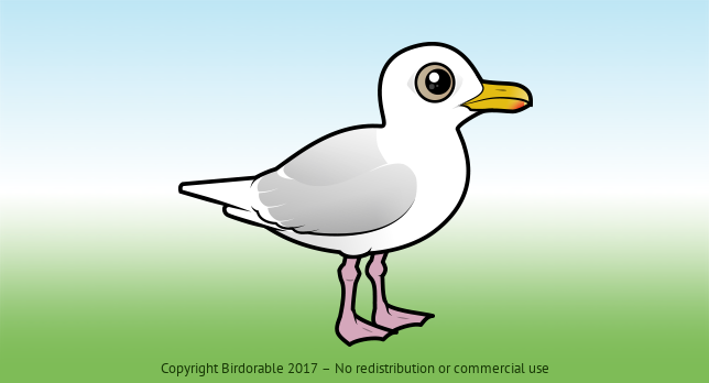 Birdorable Iceland Gull 