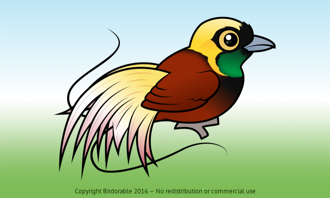 Birdorable Greater Bird-of-paradise 