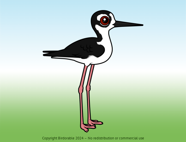 Birdorable Black-necked Stilt 