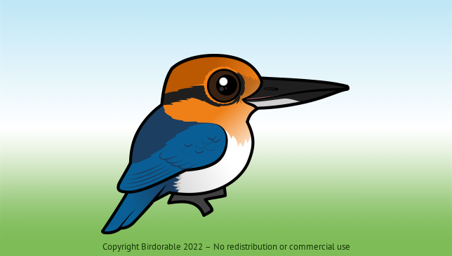 Birdorable Guam Kingfisher 