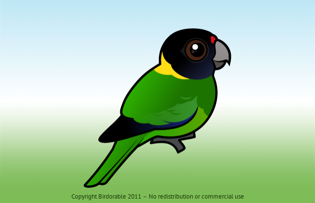 Birdorable Australian Ringneck 