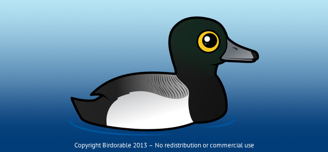 Birdorable Greater Scaup 