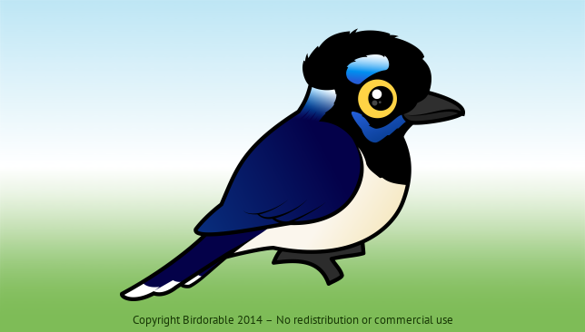 Birdorable Plush-crested Jay 