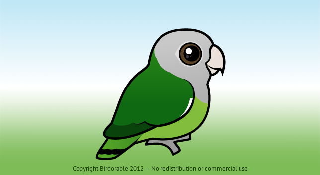 Birdorable Gray-headed Lovebird 