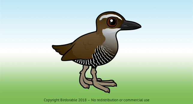 Birdorable Guam Rail 