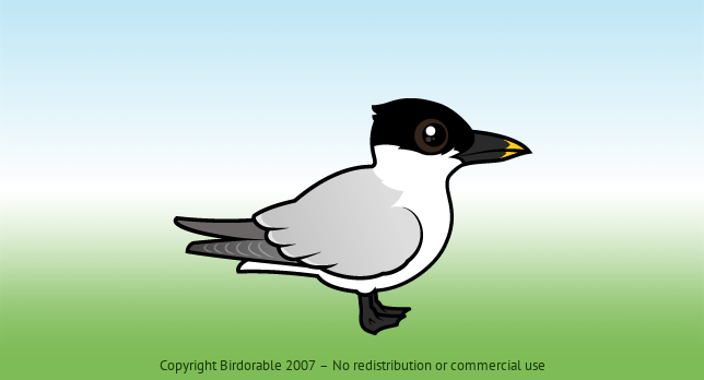 Birdorable Sandwich Tern 