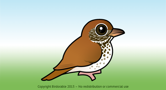 Birdorable Wood Thrush 