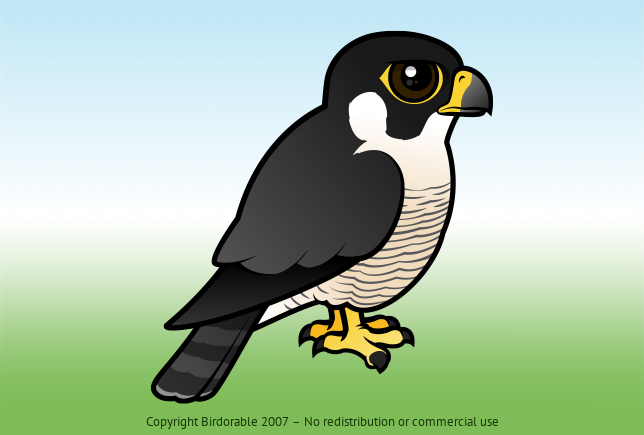 Birdorable Peregrine Falcon 