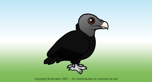 Birdorable American Black Vulture 