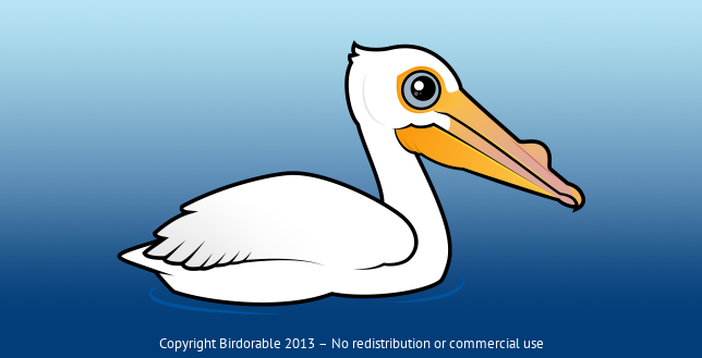 Birdorable American White Pelican 