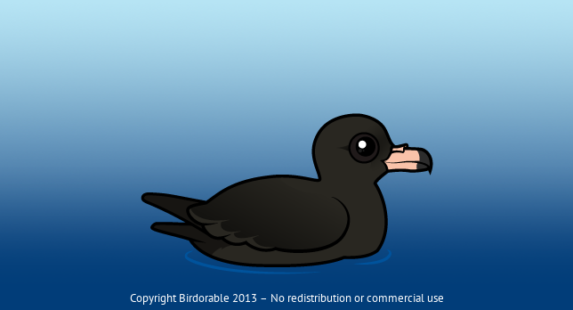 Birdorable Flesh-footed Shearwater 