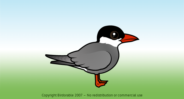 Birdorable Whiskered Tern 
