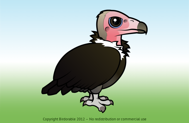 Birdorable Hooded Vulture 