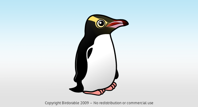 Birdorable Yellow-eyed Penguin 