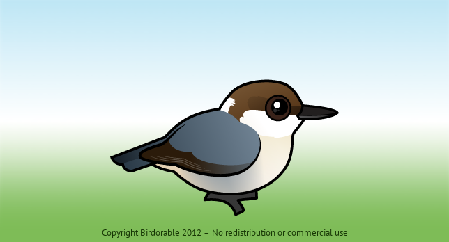 Birdorable Brown-headed Nuthatch 