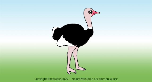 Birdorable Ostrich 