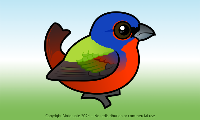 Birdorable Painted Bunting Male