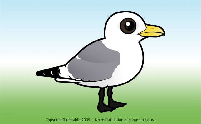 Birdorable Black-legged Kittiwake Adult