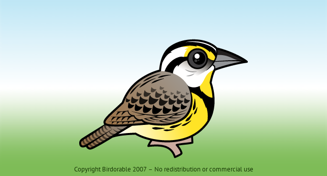 Birdorable Eastern Meadowlark 