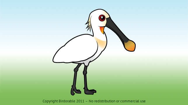 Birdorable Eurasian Spoonbill 
