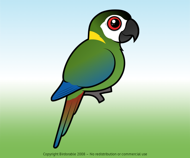 Birdorable Golden-collared Macaw 