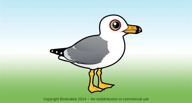 Birdorable Ring-billed Gull 