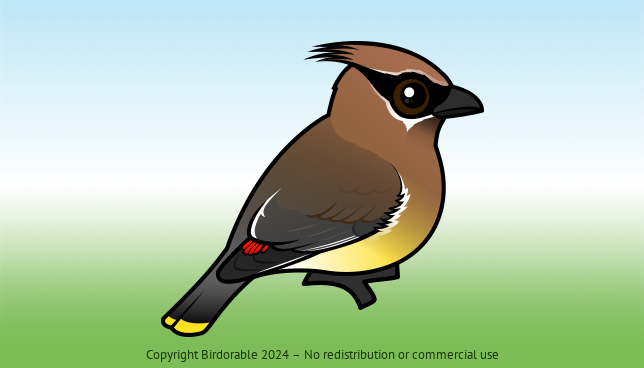 Birdorable Cedar Waxwing 