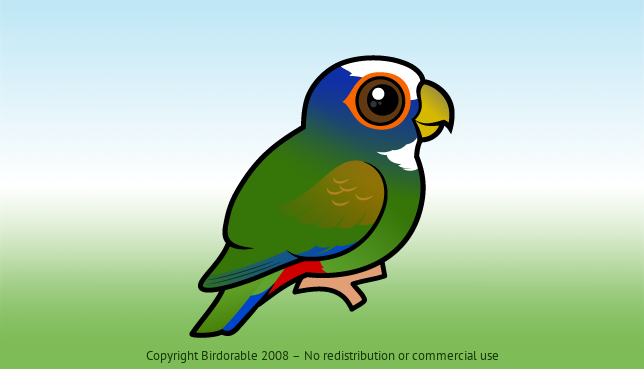Birdorable White-crowned Parrot 
