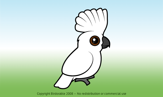 Birdorable Umbrella Cockatoo 