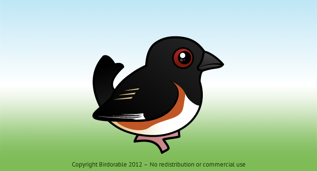 Birdorable Eastern Towhee 