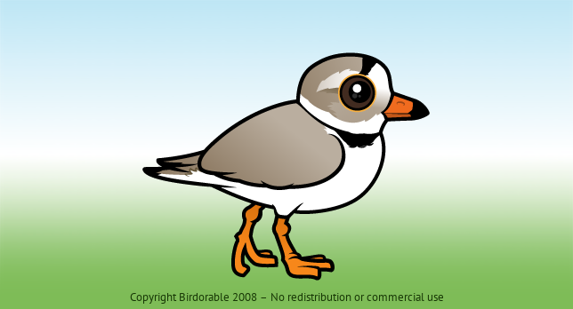 Birdorable Piping Plover 