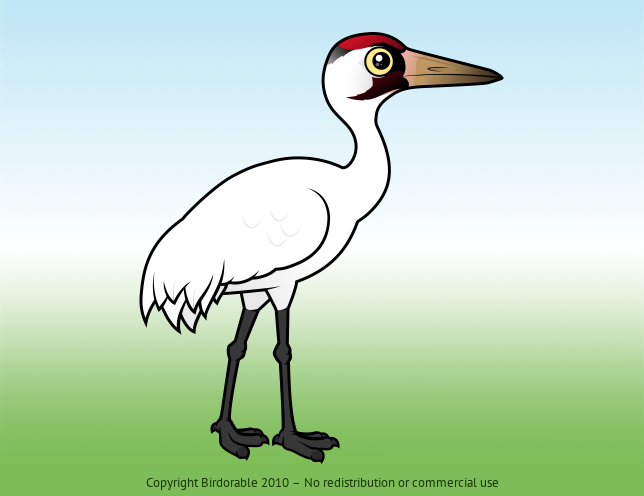 Birdorable Whooping Crane 