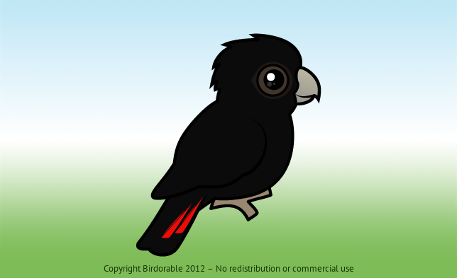 Birdorable Red-tailed Black Cockatoo 