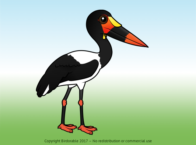 Birdorable Saddle-billed Stork 