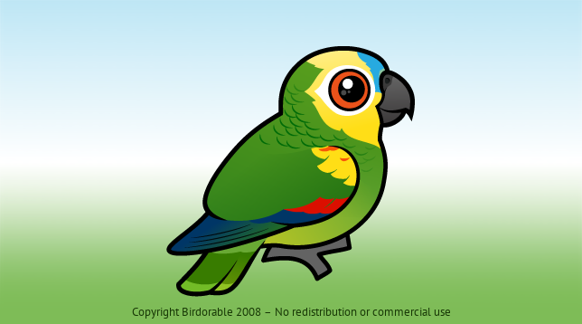 Birdorable Blue-fronted Parrot 