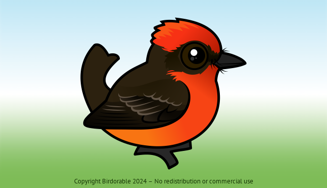 エムオン M'on　RED　BIRD Meet the Vermilion Flycatcher: Colorful Aerial Acrobat | Birdorable