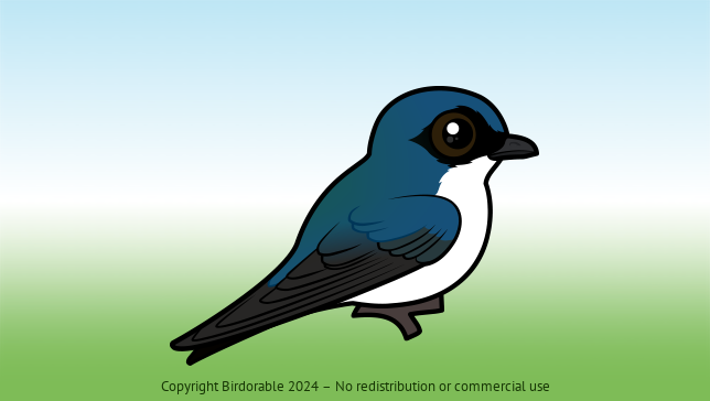 Birdorable Tree Swallow 